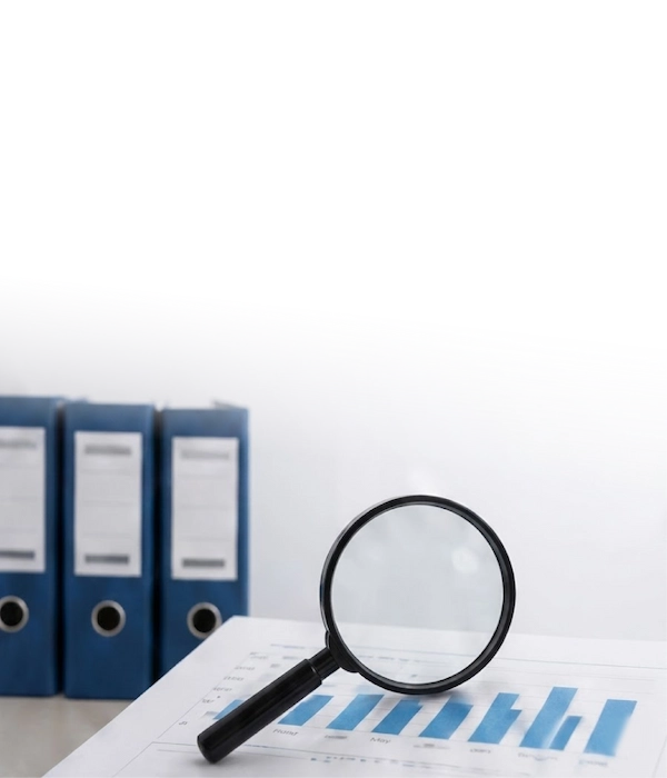 Audit Support Image